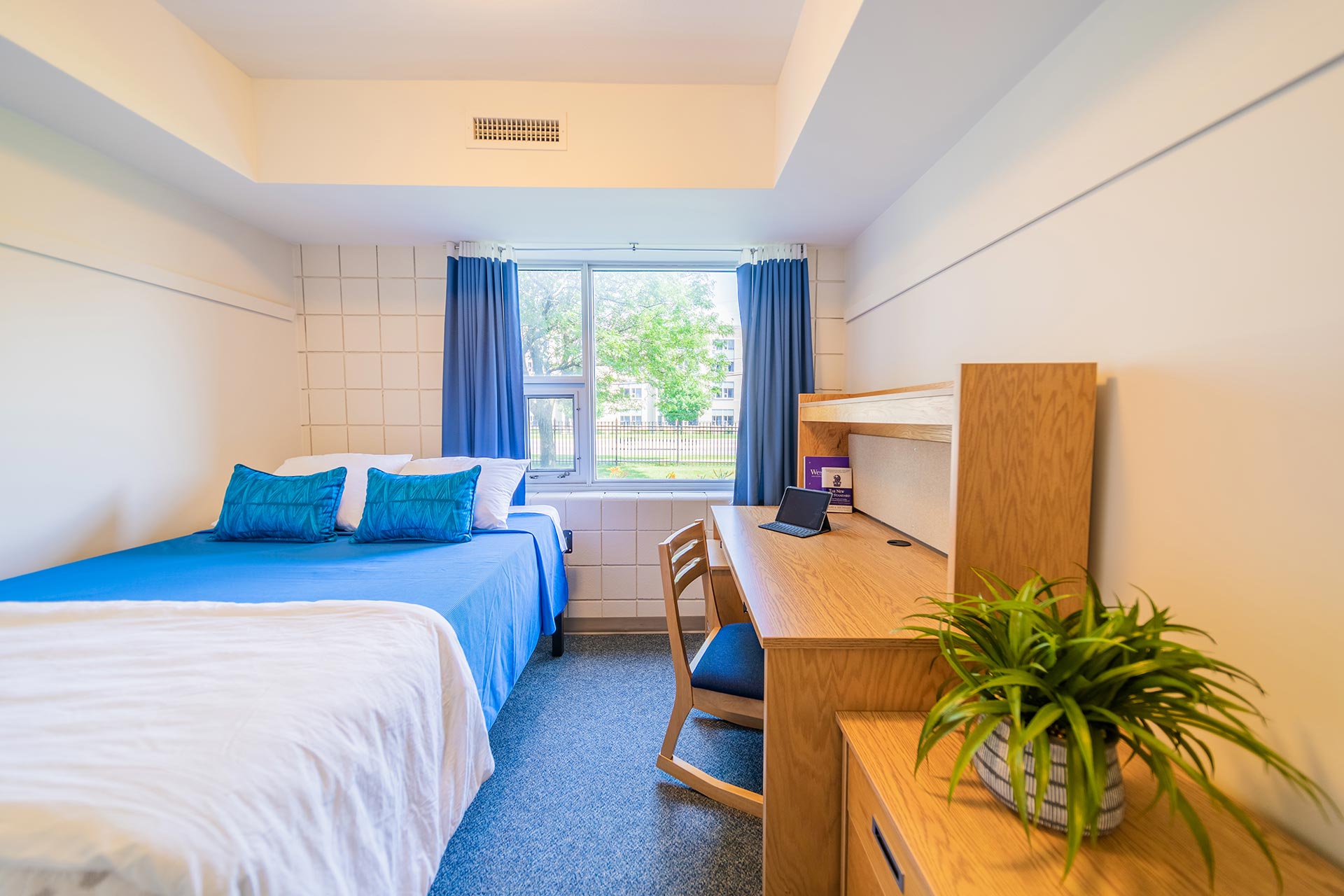 Single bed and desk in bedroom